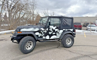 Jeep-Wrangler-1995-SUV-5