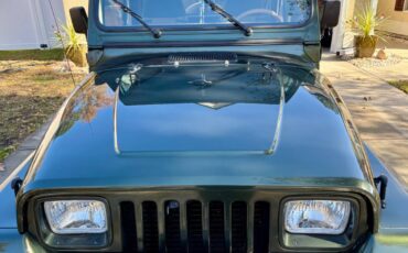 Jeep-Wrangler-sahara-1995-green-4