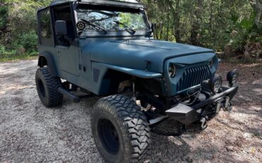 Jeep-Wrangler-yj-1994-green