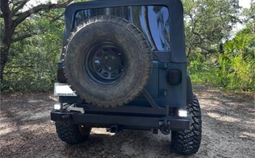 Jeep-Wrangler-yj-1994-green-7
