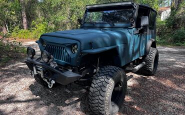 Jeep-Wrangler-yj-1994-green-8