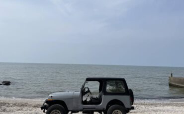 Jeep-Wrangler-yj-islander-1991-grey-2