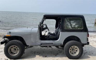 Jeep-Wrangler-yj-islander-1991-grey-3