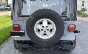 Jeep-Wrangler-yj-islander-1991-grey-5