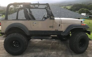 Jeep-Yj-1994-brown-2