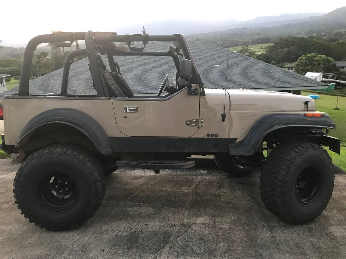 Jeep-Yj-1994-brown-2