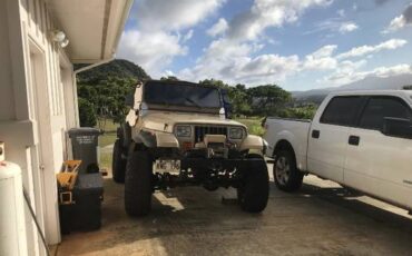 Jeep-Yj-1994-brown