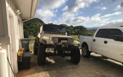 Jeep Yj  1994 brown