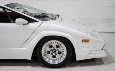 Lamborghini-Countach-1989-28
