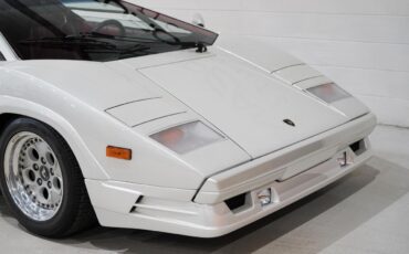 Lamborghini-Countach-1989-29