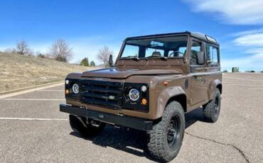 Land-rover-Defender-90-diesel-1993-brown