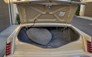 Lincoln-Mark-V-1979-Coupe-10