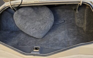 Lincoln-Mark-V-1979-Coupe-11