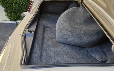Lincoln-Mark-V-1979-Coupe-12
