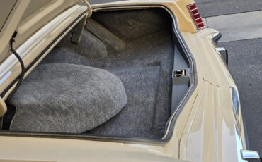 Lincoln-Mark-V-1979-Coupe-13