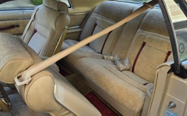 Lincoln-Mark-V-1979-Coupe-20