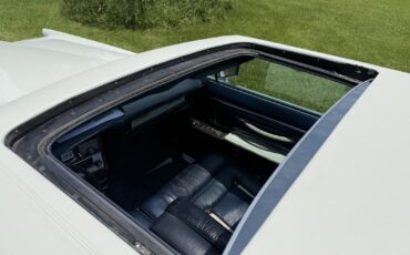 Lincoln-Mark-V-1979-Coupe-22
