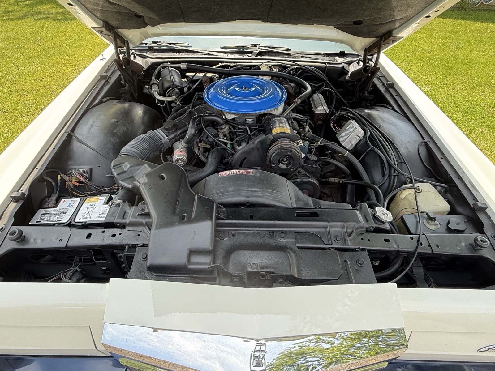 Lincoln-Mark-V-1979-Coupe-23