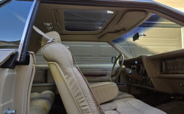 Lincoln-Mark-V-1979-Coupe-24