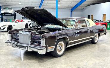 Lincoln-Town-Coupe-1979-Other-9