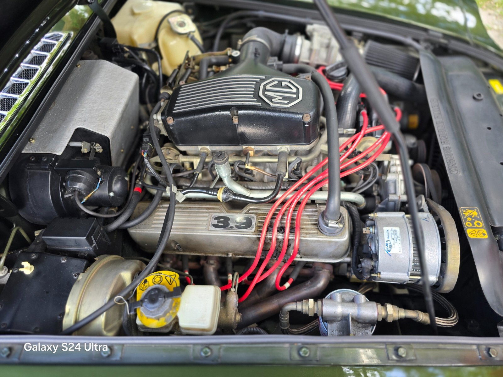 MG-V-8-1995-Convertible-30