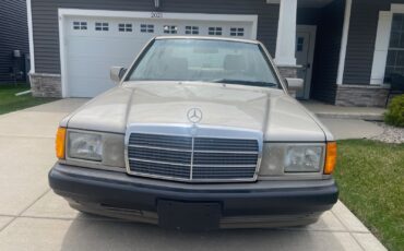 Mercedes-Benz-190-Series-1992-Sedan-7