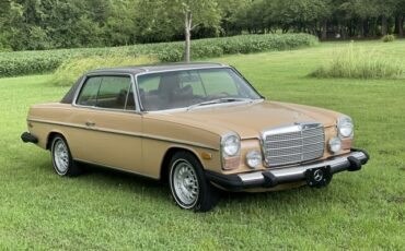 Mercedes-Benz-200-Series-1976-Coupe-5
