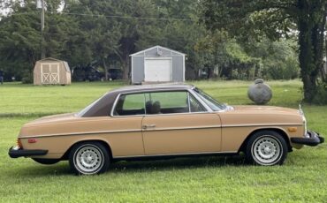 Mercedes-Benz-200-Series-1976-Coupe-6