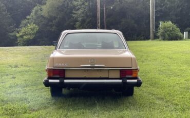 Mercedes-Benz-200-Series-1976-Coupe-8