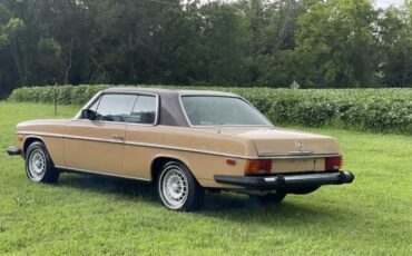 Mercedes-Benz-200-Series-1976-Coupe-9