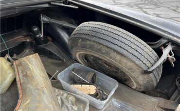 Mercedes-Benz-220-SEB-1965-27
