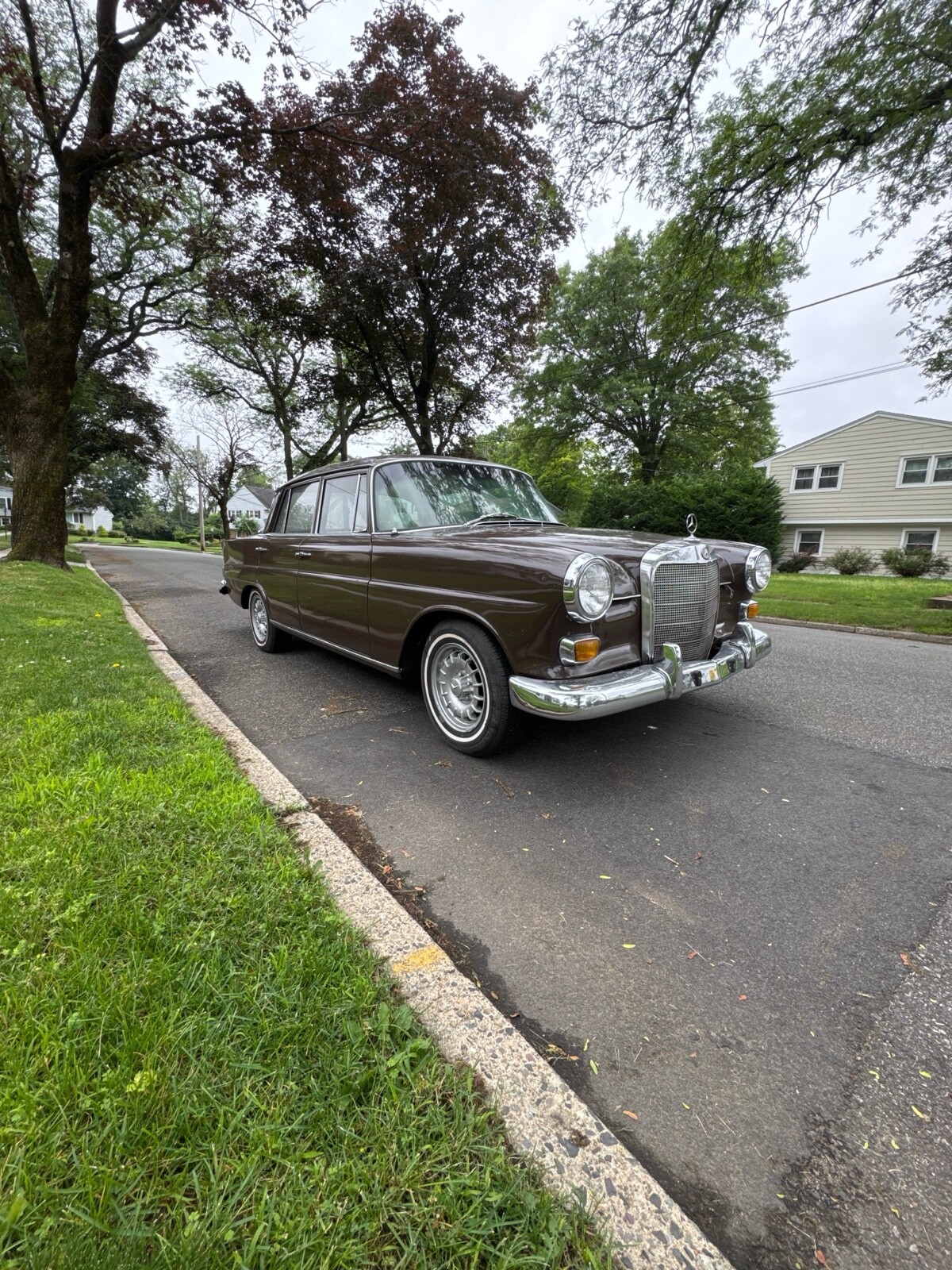 Mercedes-Benz-230-1966-2