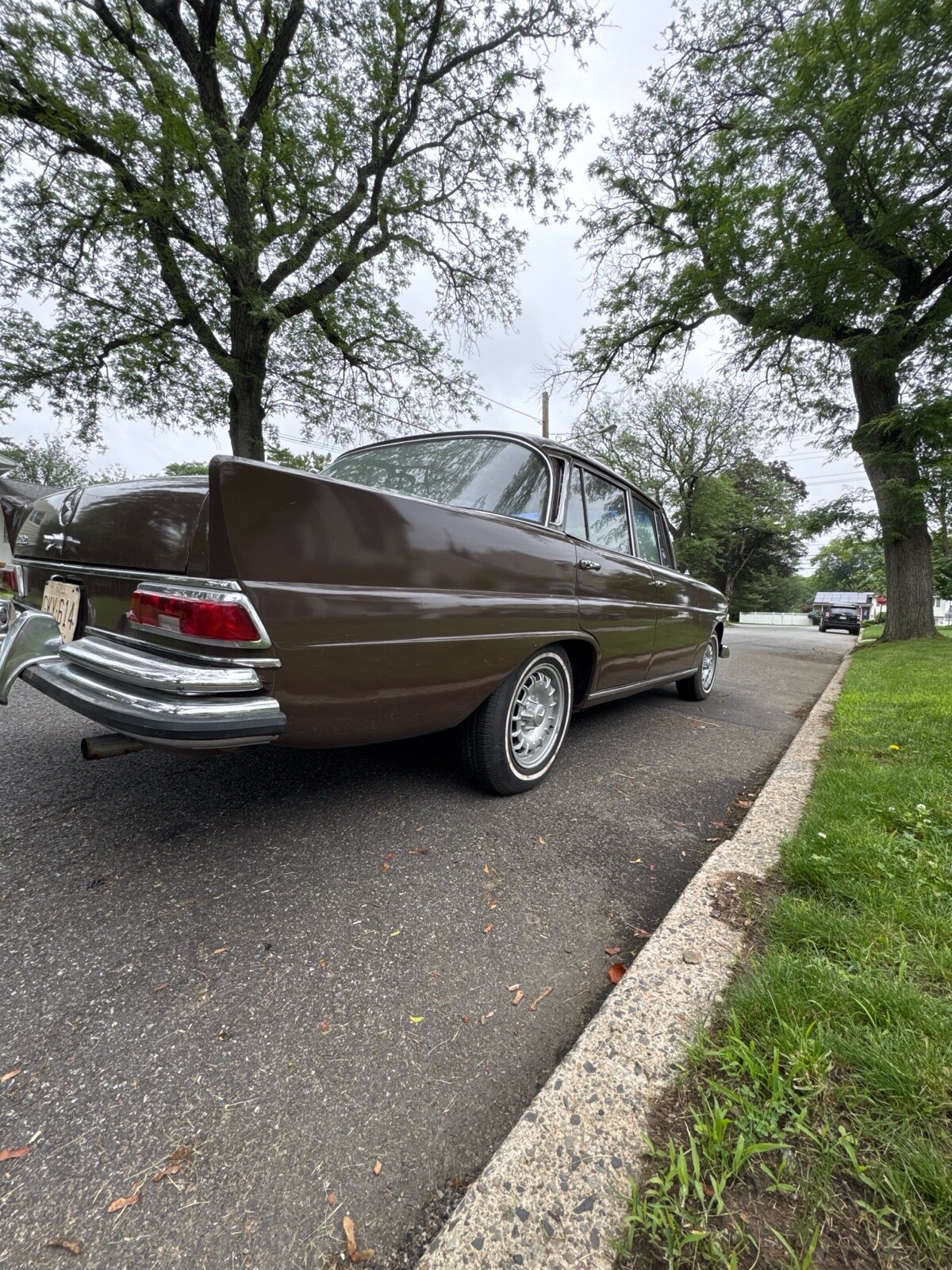 Mercedes-Benz-230-1966-3
