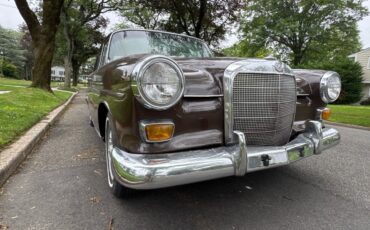 Mercedes-Benz-230-1966-5