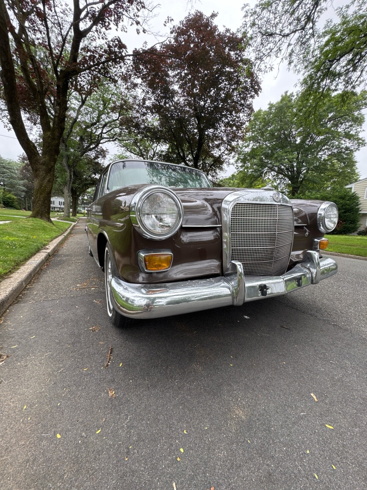 Mercedes-Benz-230-1966-5