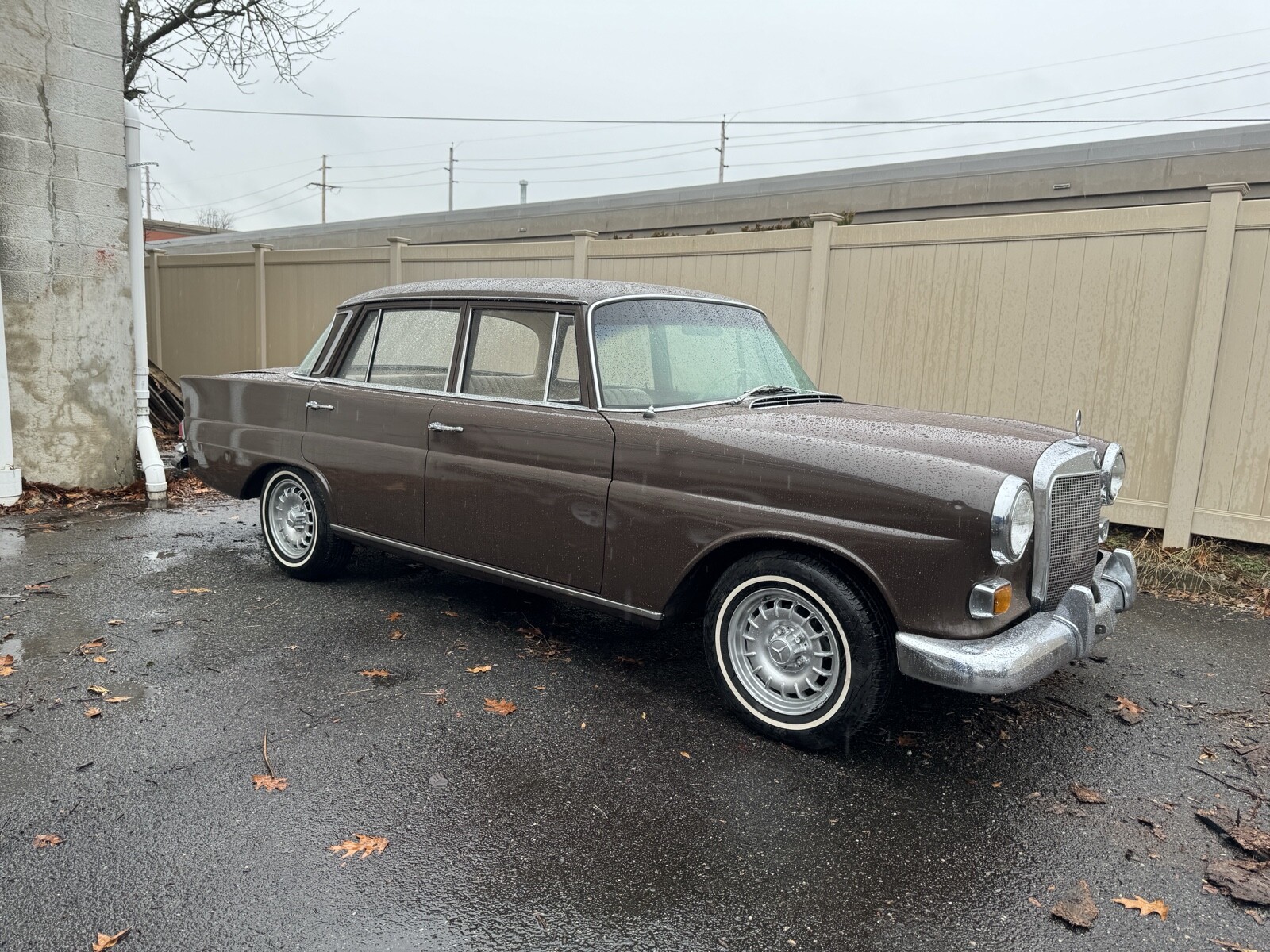 Mercedes-Benz-230-1966-9