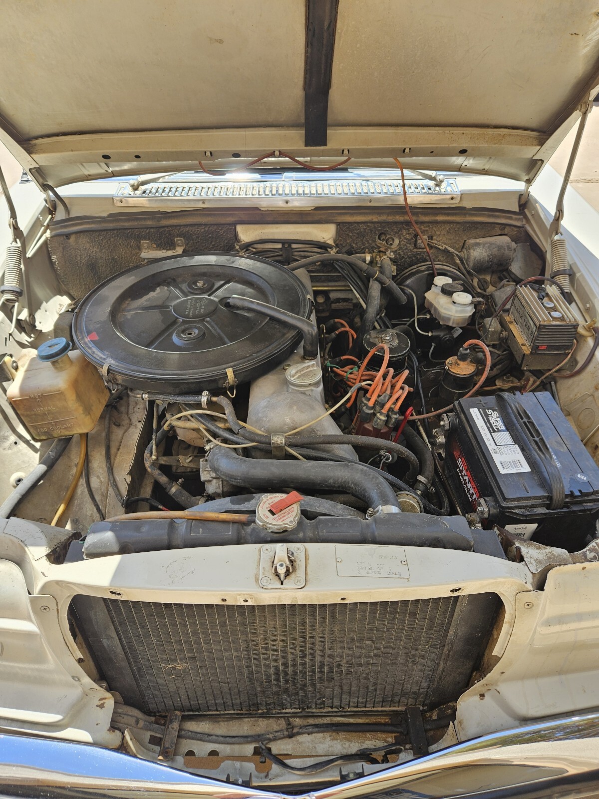 Mercedes-Benz-250-1969-7