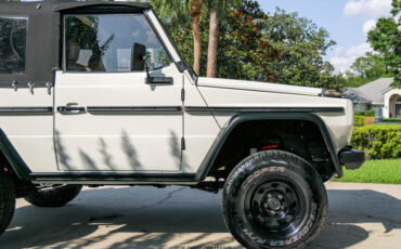 Mercedes-Benz-250GD-1991-Other-10