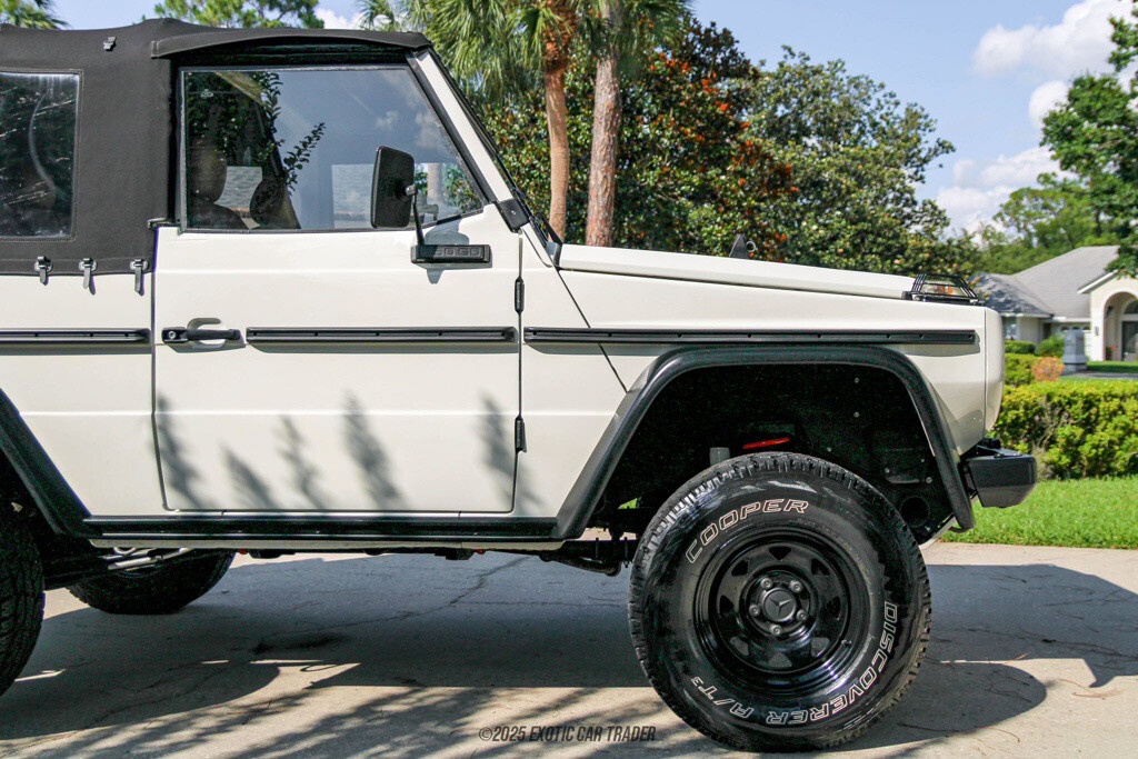 Mercedes-Benz-250GD-1991-Other-10