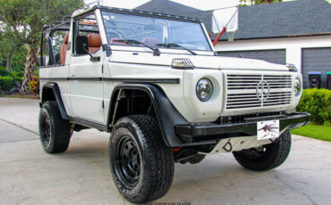 Mercedes-Benz-250GD-1991-Other-11