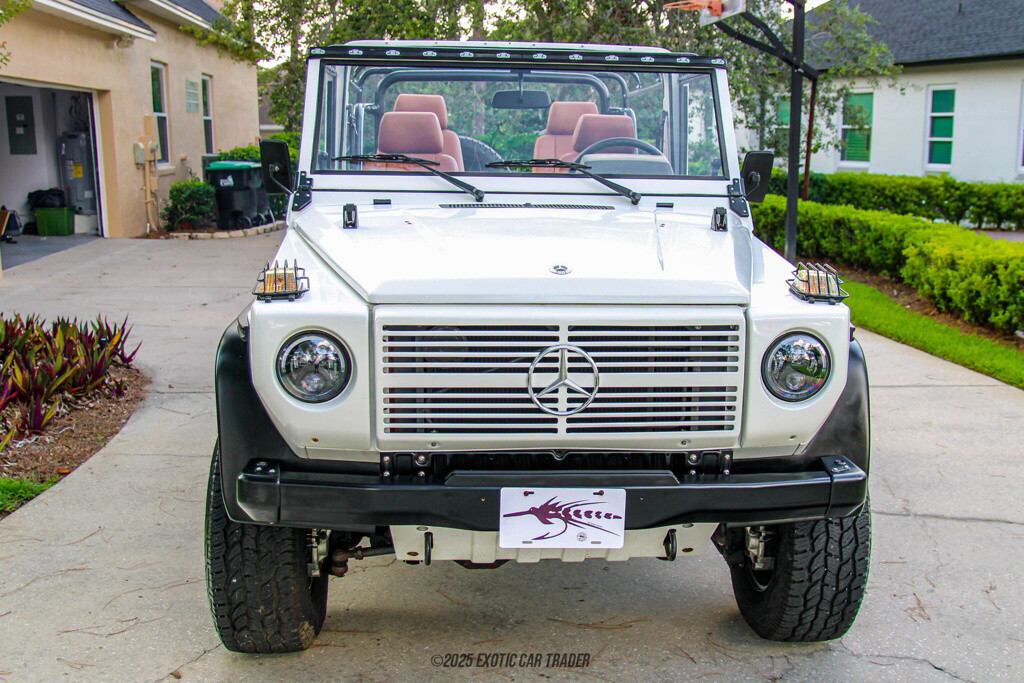 Mercedes-Benz-250GD-1991-Other-13