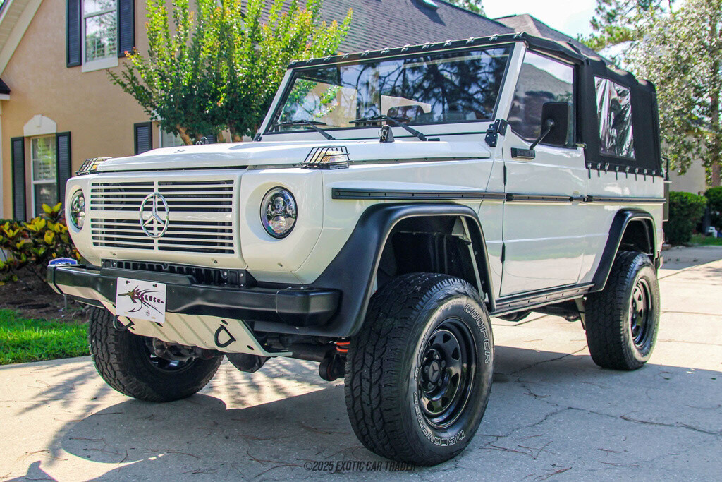 Mercedes-Benz-250GD-1991-Other-19