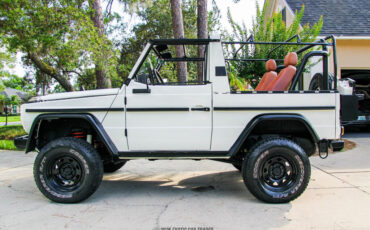 Mercedes-Benz-250GD-1991-Other-2
