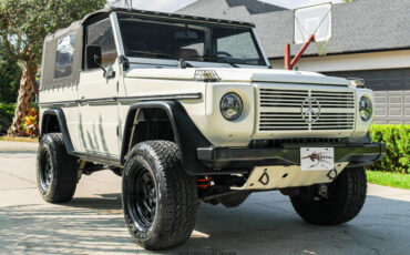 Mercedes-Benz-250GD-1991-Other-20