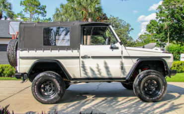Mercedes-Benz-250GD-1991-Other-21