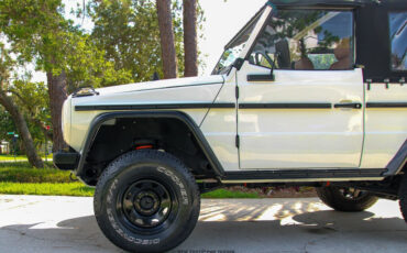 Mercedes-Benz-250GD-1991-Other-3