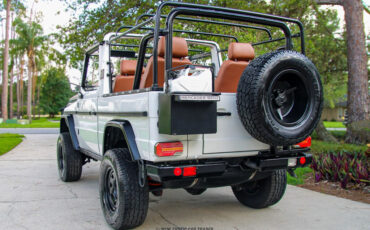 Mercedes-Benz-250GD-1991-Other-5