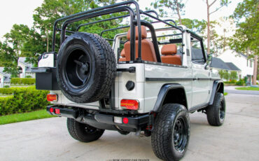 Mercedes-Benz-250GD-1991-Other-7