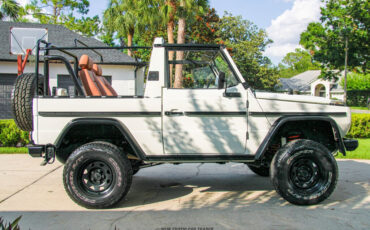 Mercedes-Benz-250GD-1991-Other-8