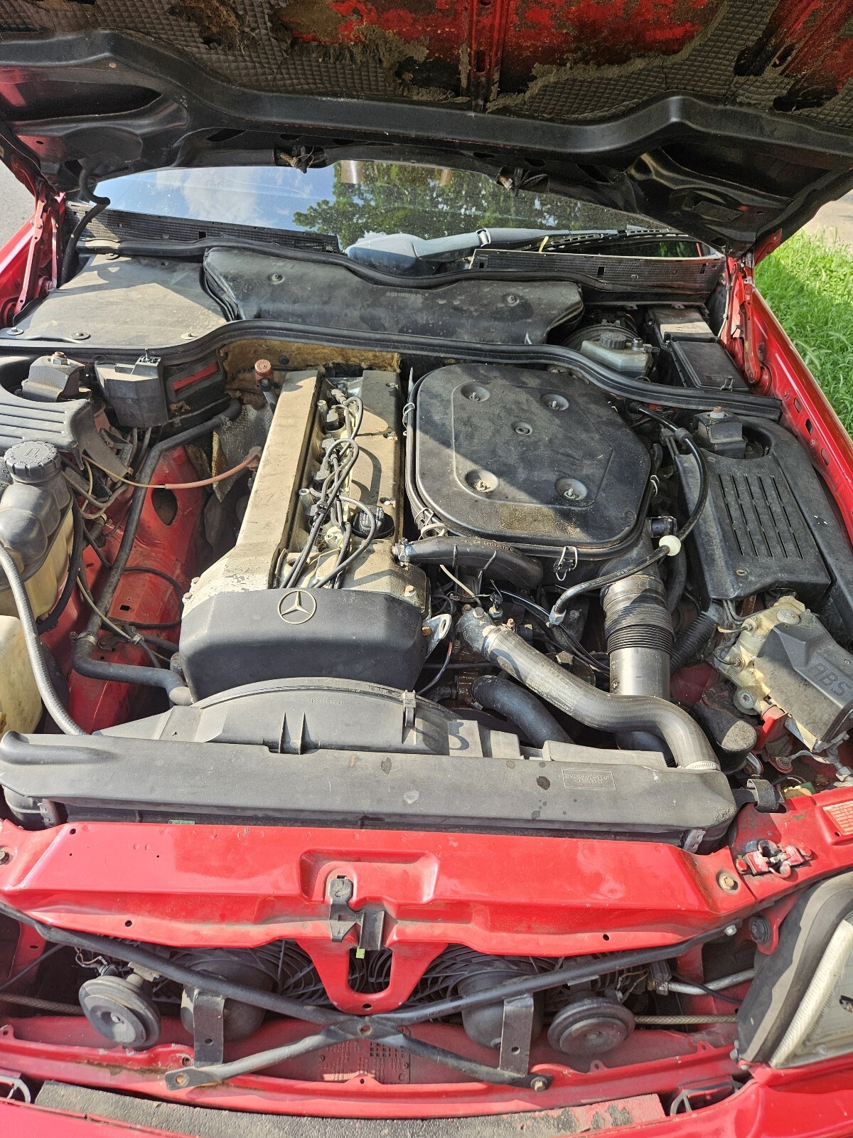 Mercedes-Benz-300-Series-1991-Convertible-12